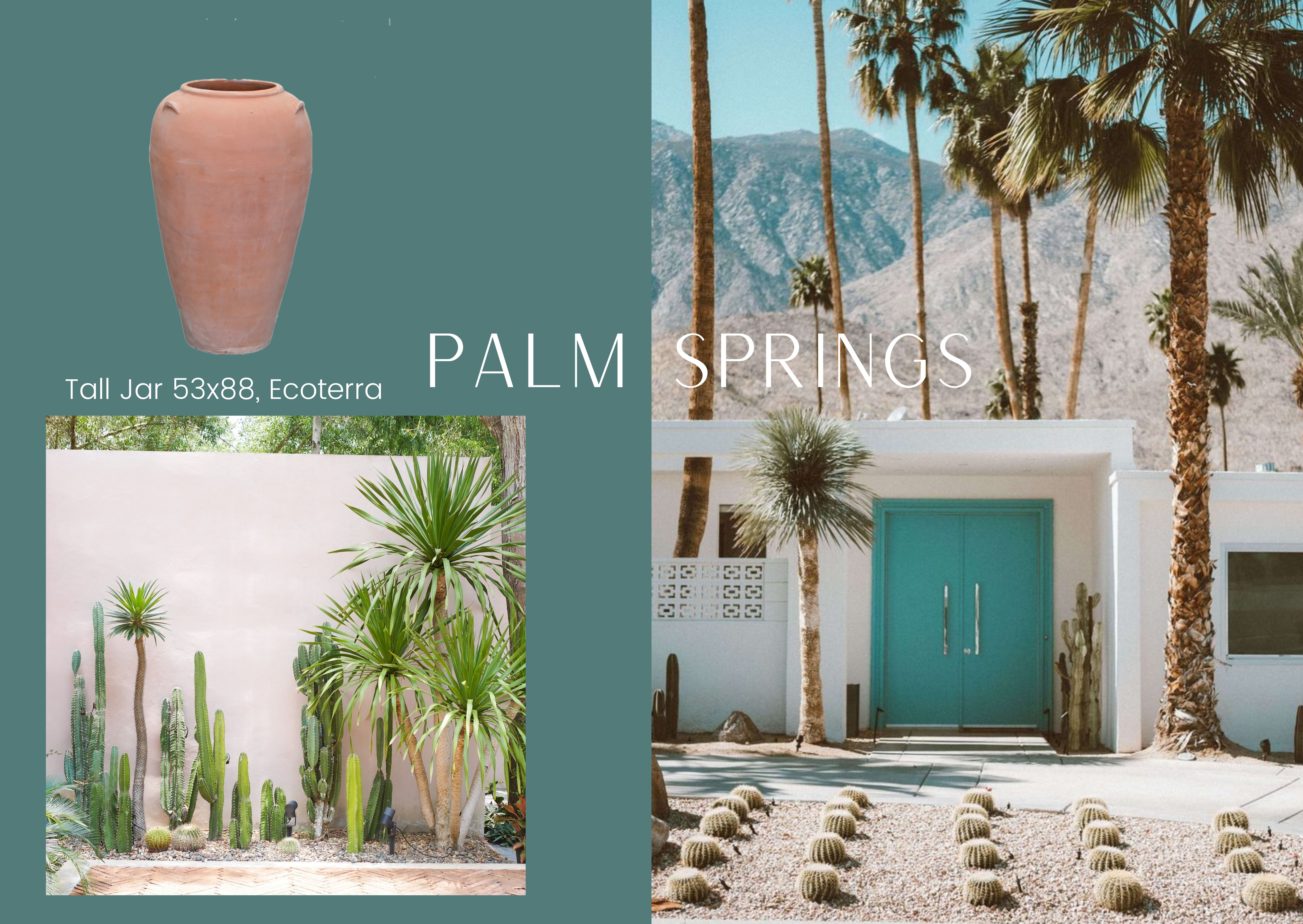Palm Springs 5